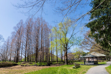 さきたま古墳公園の風景／埼玉県行田市