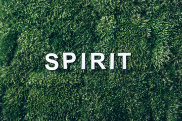 Word Spirit on moss, green grass background. Top view. Copy space. Banner. Biophilia trend. Nature...