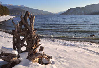 Fototapeta premium Natural sculpture on the shore of lake Teletskoye