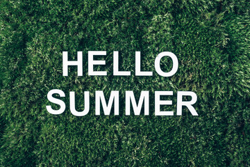 Inscription Hello summer on moss, green grass background. Top view. Copy space. Banner. Biophilia concept. Nature backdrop