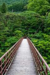 鬼怒川の滝見橋