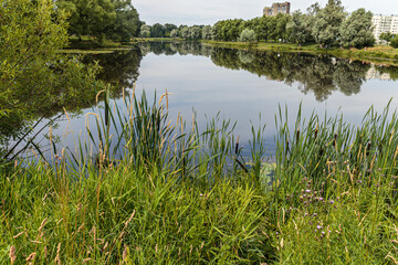 Pond in a public city park.