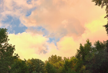 Fototapeta na wymiar Golden clouds over the trees