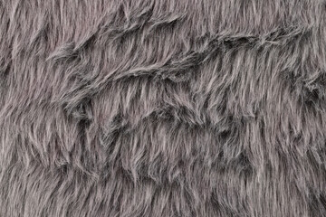 Grey fur texture background 