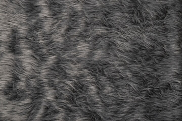 Dog skin texture, gray furry dog skin texture
