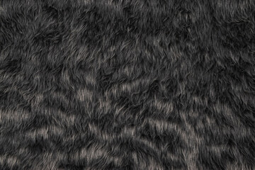 Top view of fur texture background, grey fur pattern texture