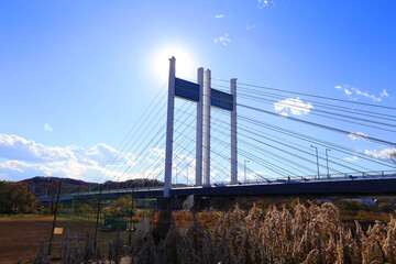 多摩川にかかる是政橋