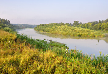 Grass on the Bank of the river Inya