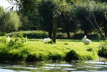 タイトル : Cambridge　
