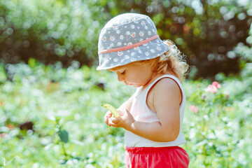 child in the garden on a Sunny day