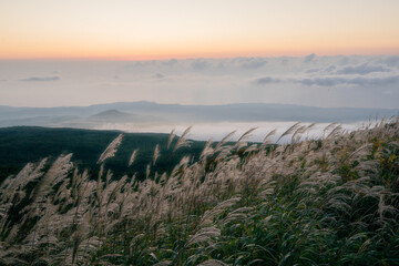 秋の雲