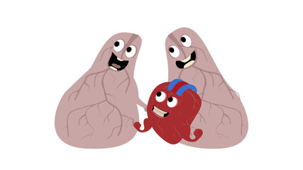 Cartoon human lungs and heart organ characters design  illustration.