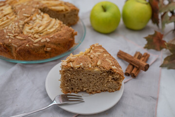 Fresh baked apple cake with cinnamon
