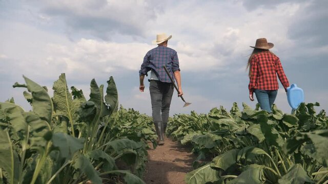 Agriculture. Farmer family in a green field. Organic food concept. Agriculture and business. Family of farmer inspecting the harvest. agriculture organic food. Farmer family business concept.