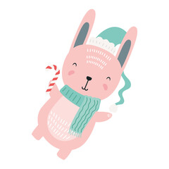 cute rabbit wearing christmas clothes character