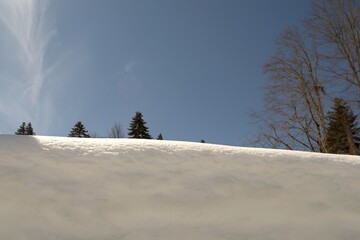 High snowdrifts against the background of fir trees and blue sky.