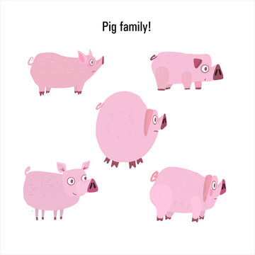 vector image of stickers of pigs