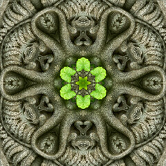 Looking through a kaleidoscope at a sandstone relief with ivy leaves