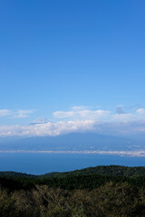 伊豆達磨山展望台からの景色