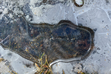 White and transparent ice on the water. Winter concept.