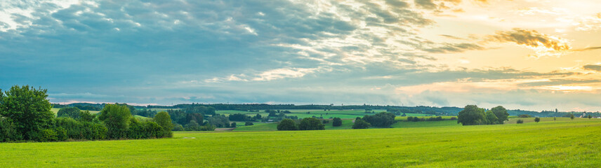 Landscape panorama. Sky with clouds. Green meadow. Gorgeous rural scene. Single tree with large open space.