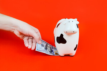 man's hand takes 100 dollar banknote from money box cow. 2021 new year symbol cow and dollar bills...