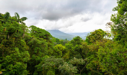 Obraz premium Mountainous Nature in Mistico Arenal Hanging Bridges Park in Costa Rica, Central America. Cloud forest.