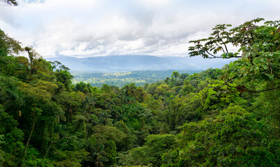 Mountainous Nature in Mistico Arenal Hanging Bridges Park in Costa Rica, Central America. Cloud forest..