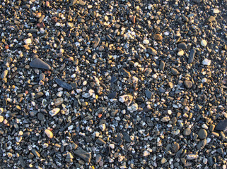 Beach pebbles for background. natural flooring, drainage, gardening and landscaping. Zen background stones