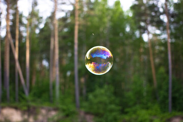 bubbles in the forest