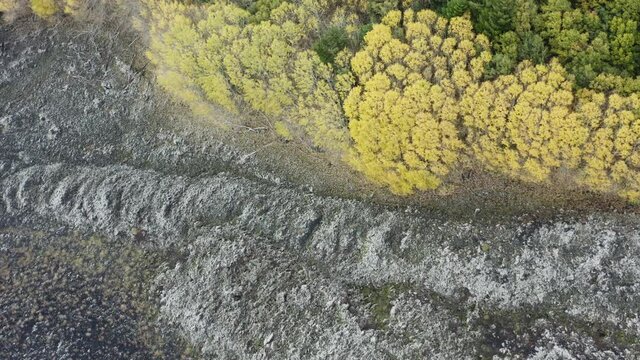 Scenic aerial shoot of autumn on Etna volcano in Sicily, Italy. Birches, secular oaks, holm oaks, turkey oaks, beeches and maples with typical autumn colors with lava flows.