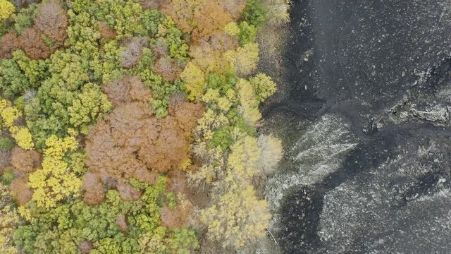 Scenic aerial shoot of autumn on Etna volcano in Sicily, Italy. Birches, secular oaks, holm oaks, turkey oaks, beeches and maples with typical autumn colors with lava flows.