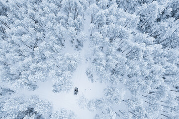 car in the evening forest in winter, top view, copter, aero photo, landscape winter forest