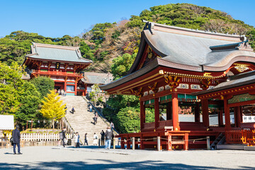 Fototapeta premium 鎌倉 鶴岡八幡宮