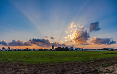 sunset over the field
