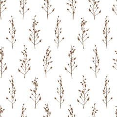 Seamless pattern with rosehip branches and berries on white - background with wild rose silhouettes for natural design
