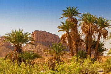 Fototapeta na wymiar Mountains In The Sahara Desert As Seen From An Oasis