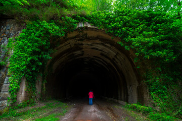 Tuneles de la Engaña, Vega de Pas, Valles Pasiegos, Cantabria, Spain, Europe