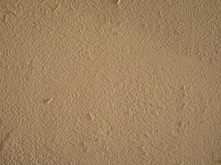 すさ入り珪藻土塗り壁