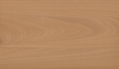 Naklejka premium Natural crown cut walnut wood veneer texture