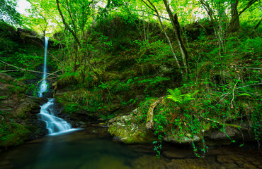 Lamiña waterfall, Lamiña, Saja Besaya Natural Park, Cantabria, Spain, Europe
