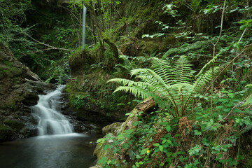 Lamiña waterfall, Lamiña, Saja Besaya Natural Park, Cantabria, Spain, Europe