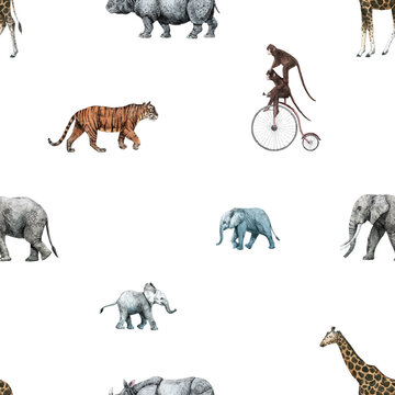 Beautiful vector stock seamless pattern with cute hand drawn safari giraffe elephant tiger monkey rhinoanimal pencil illustrations.