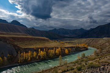 Naklejka premium Russia. Mountain Altai. Autumn coast of the Katun river near the mouth of the right tributary of the Chuya.