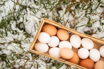 A wicker basket of collected chicken eggs lies on the grass in the snow