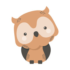 cute owl animal comic character