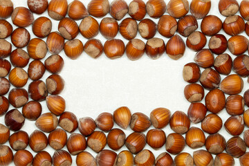 organic food ingredient Frame hazelnuts with shell flat lay. Top view isolated on white background, filbert nuts border, free space, autumn backdrop. Harvest, fall concept. nuts horizontal framing. 