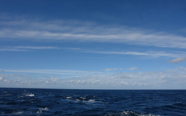 blue sky over the ocean in Antarctica winter