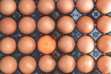 a mandarin with the raw eggs