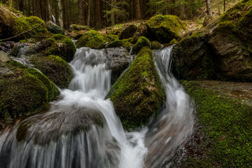 Obraz premium green moss with rocks and a torrent